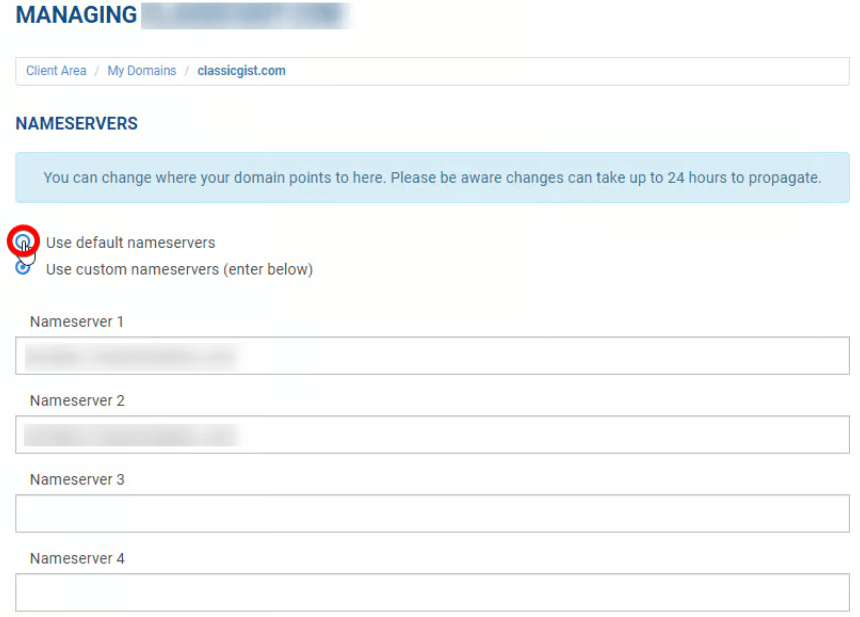 set your nameservers