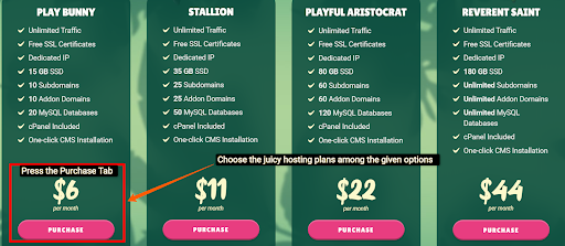 vicetemple coupons